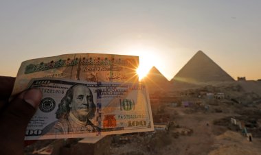 $74 billion.. What Egypt's basic resources have achieved in 9 months