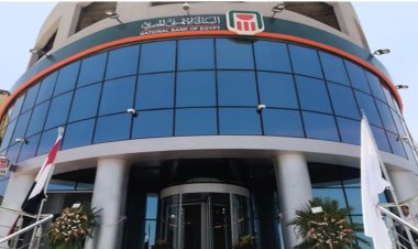 5 investment certificates from the National Bank of Egypt| Details