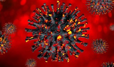 After it spread to 51 countries.. Global Health reveals details of the Iris mutant