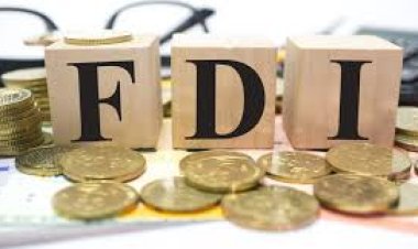 A blow to global investment in developed countries during 2023
