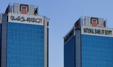 EGP143 billion.. Financing from National Bank of Egypt to Small Projects