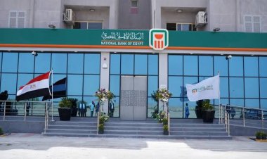 How were the profits of the National Bank of Egypt affected by the high-yield savings certificates?