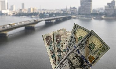 8 fields to invest your money with a guaranteed return