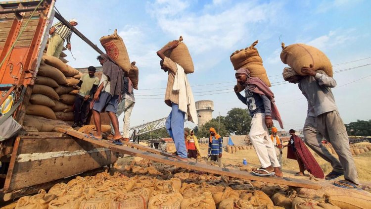 How does the Indian export ban on rice lead to a global food crisis?