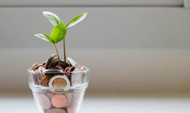 4 investments available for the Sustainable Development Fund.. know them