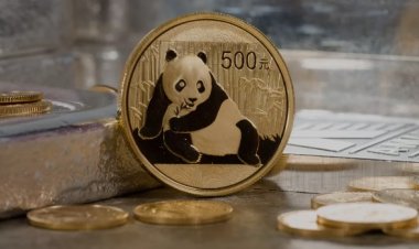 Egypt and China discuss a currency swap agreement and the issuance of Panda bonds