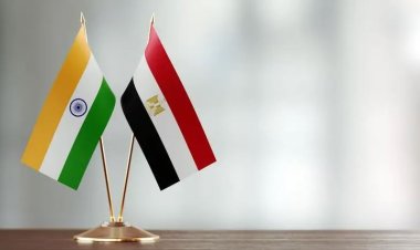 13 Indian companies visit Egypt to discuss investment opportunities in various sectors