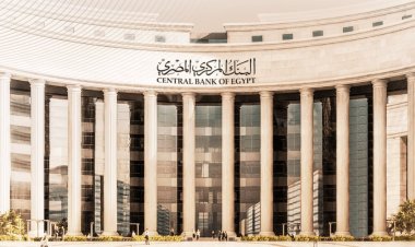 Interest rates on treasury bills are approaching 26%.. How do you invest in them?