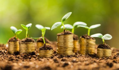 $500 million..High percentage of green investments in Egypt