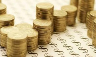 How did the country succeed in attracting foreign investment during 2023?