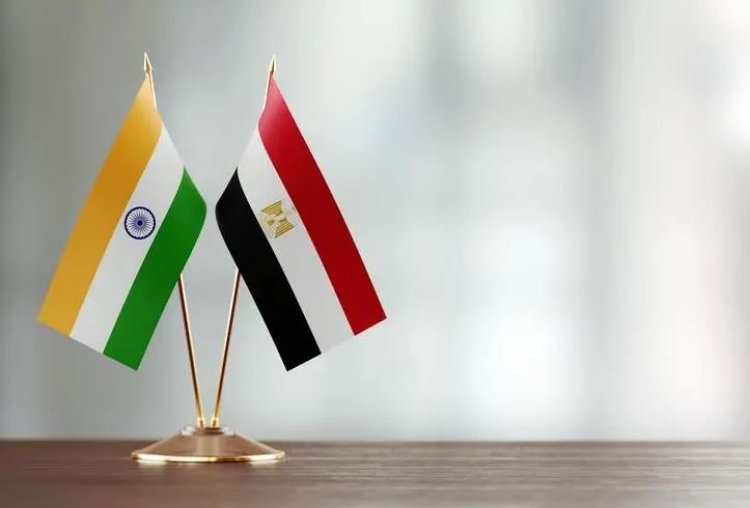 13 Indian companies visit Egypt to discuss investment opportunities in various sectors