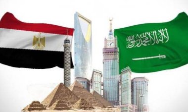 Saudi Arabia's Batterjee plans to acquire a pharmaceutical company listed on the Egyptian Stock Exchange