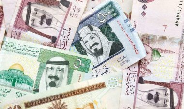 Egypt and Saudi Arabia are discussing the use of the pound and riyal in trade