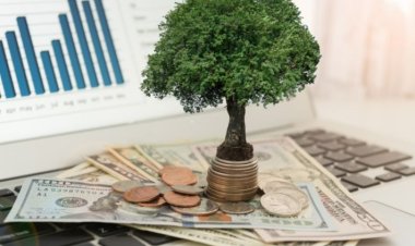 How do you invest in investment portfolios?.. Ministers’ Information presents steps to achieve profit