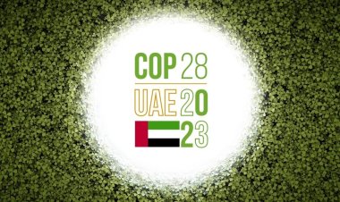 Ambitious plans for the growth of global carbon markets