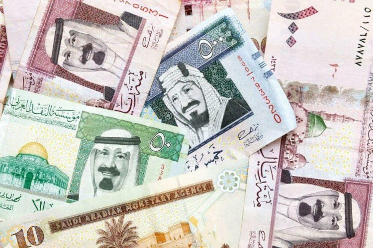 Egypt and Saudi Arabia are discussing the use of the pound and riyal in trade