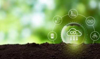 Billion dollar investments.. Prime Minister reviews a project to produce green ammonia