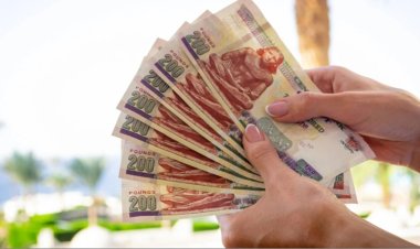 With a return of up to 65%.. Details of the top 6 savings certificates in banks before the end of 2023
